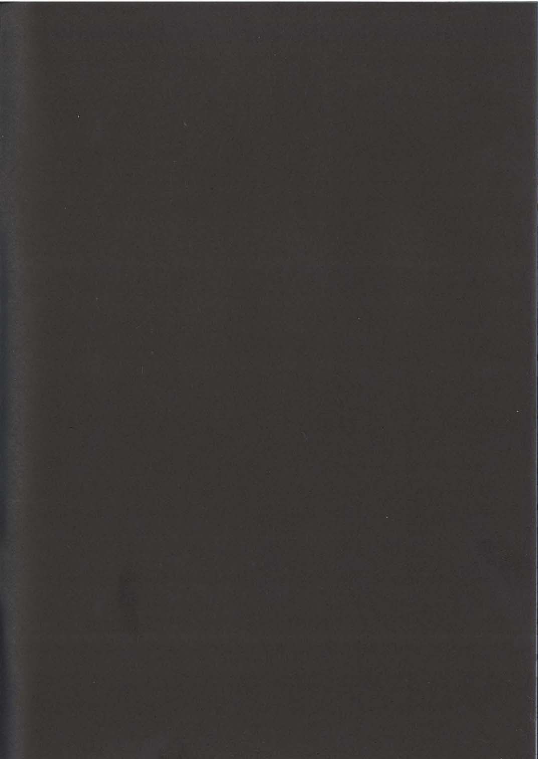 Vana'diel Hanjou Nikki - Vana'Diel Online Report page 2 full