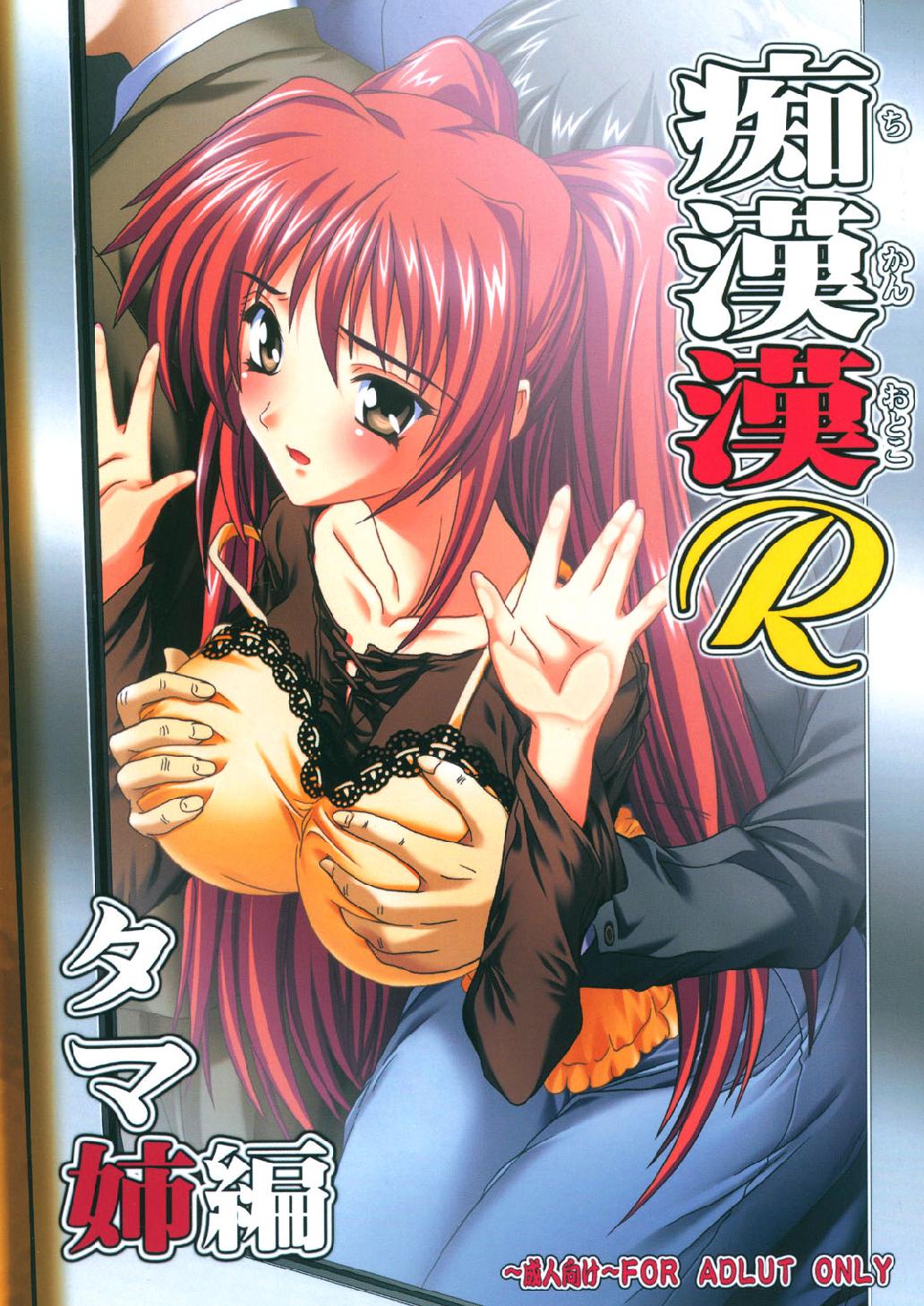 Chikan Otoko R Tama-nee page 1 full