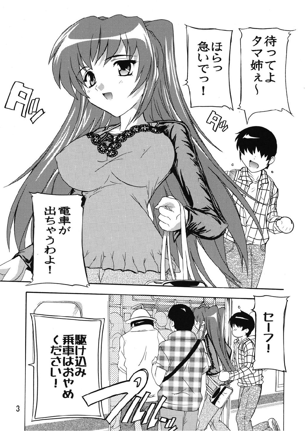 Chikan Otoko R Tama-nee page 3 full