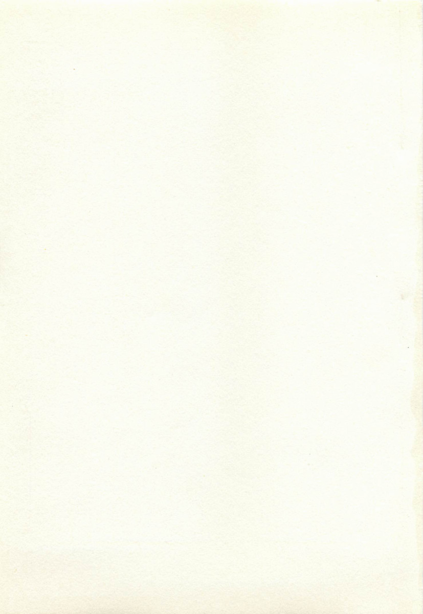 Ranman Fechi Romance - Glorious Fetish Romance page 4 full