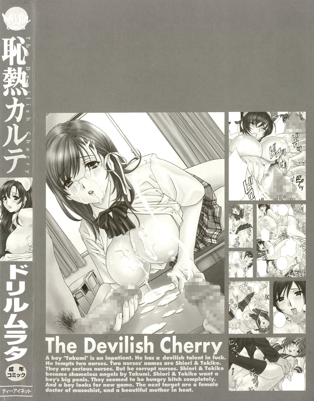 Chinetsu Karte - The Devilish Cherry page 4 full