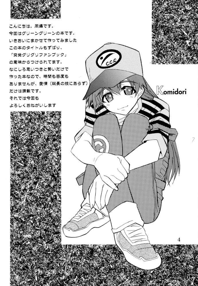 EFG - Emergency Fanbook GreenGreen page 3 full