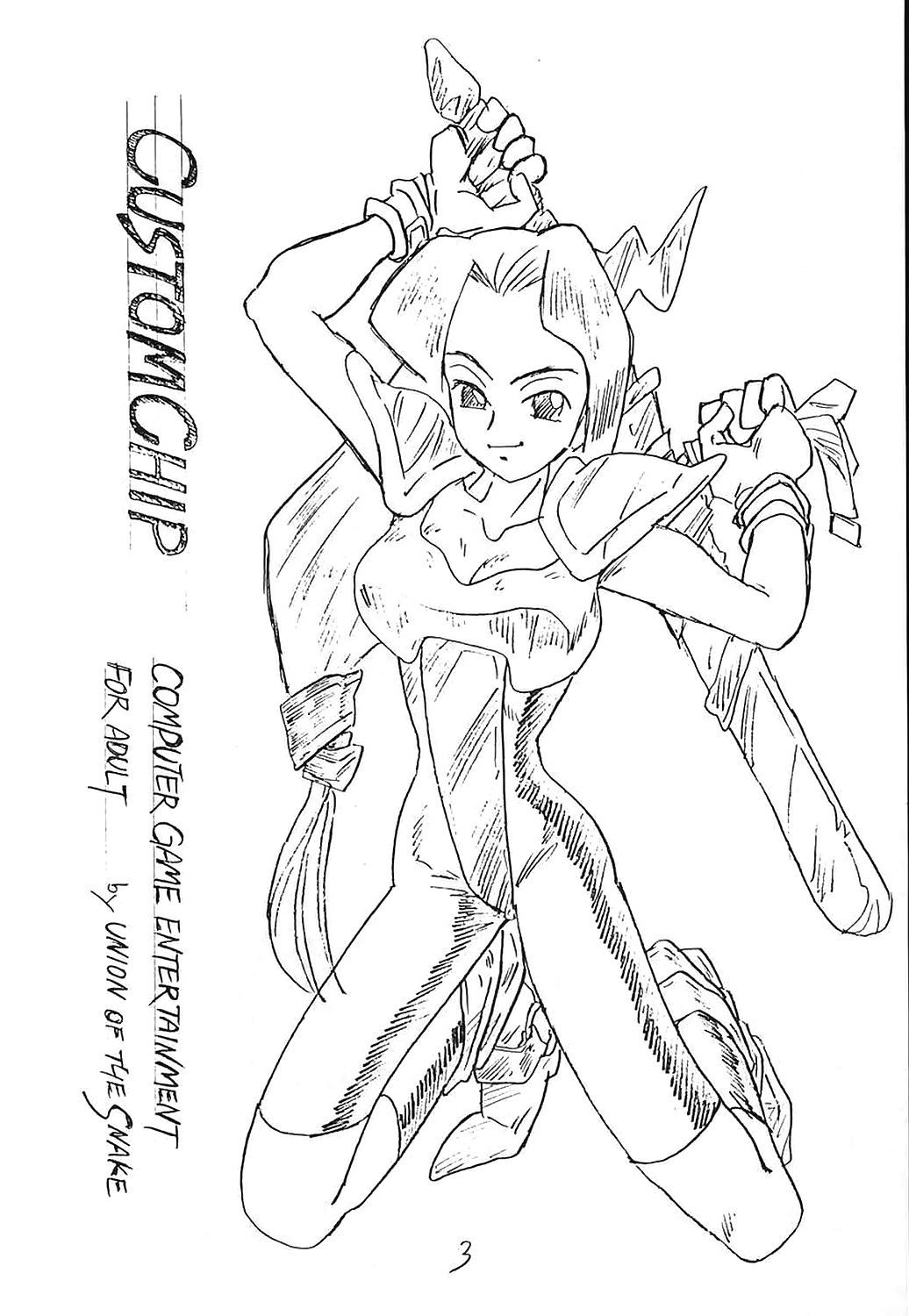 CUSTOMCHIP page 2 full