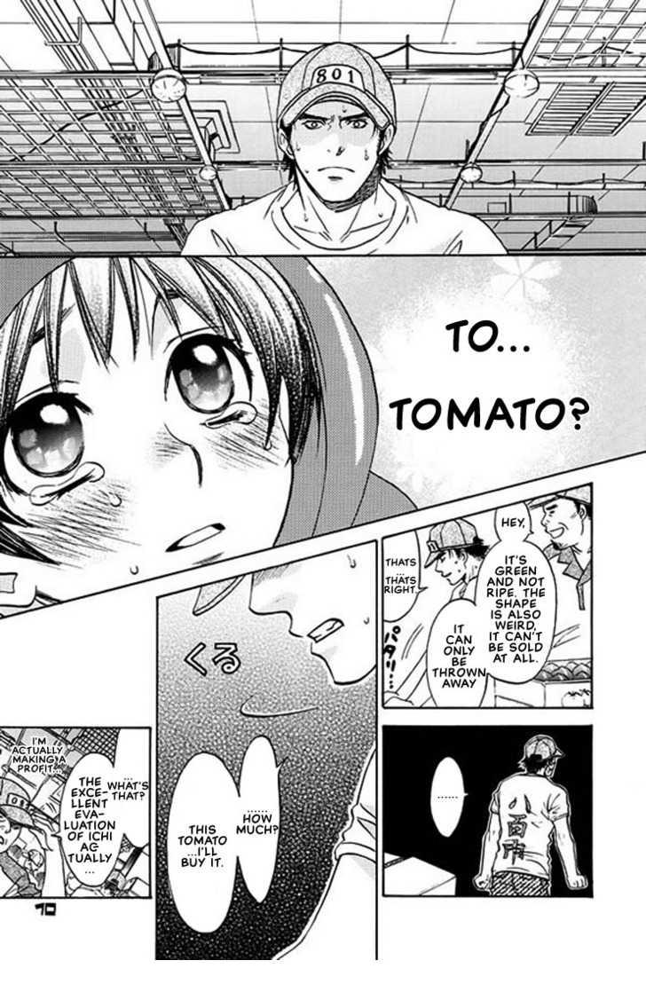 Tomato Pretty page 7 full