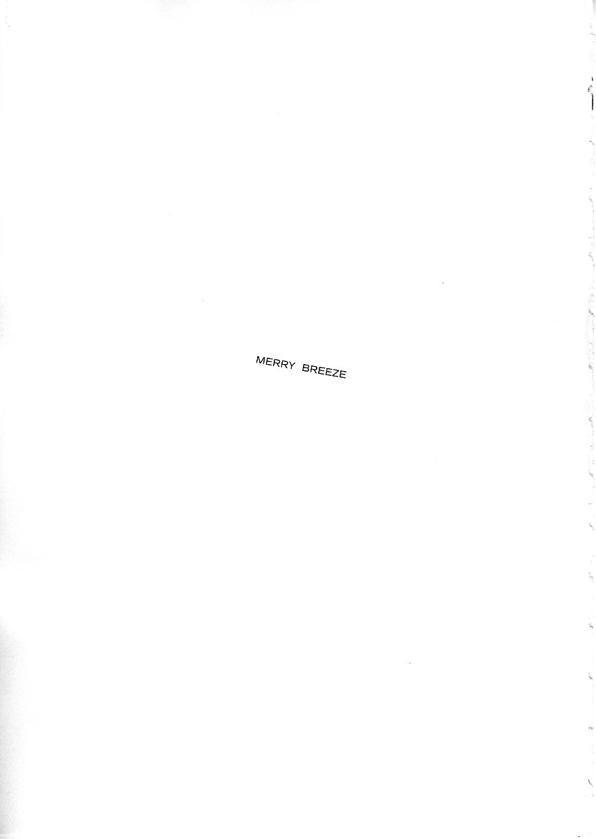 MERRY BREEZE page 2 full