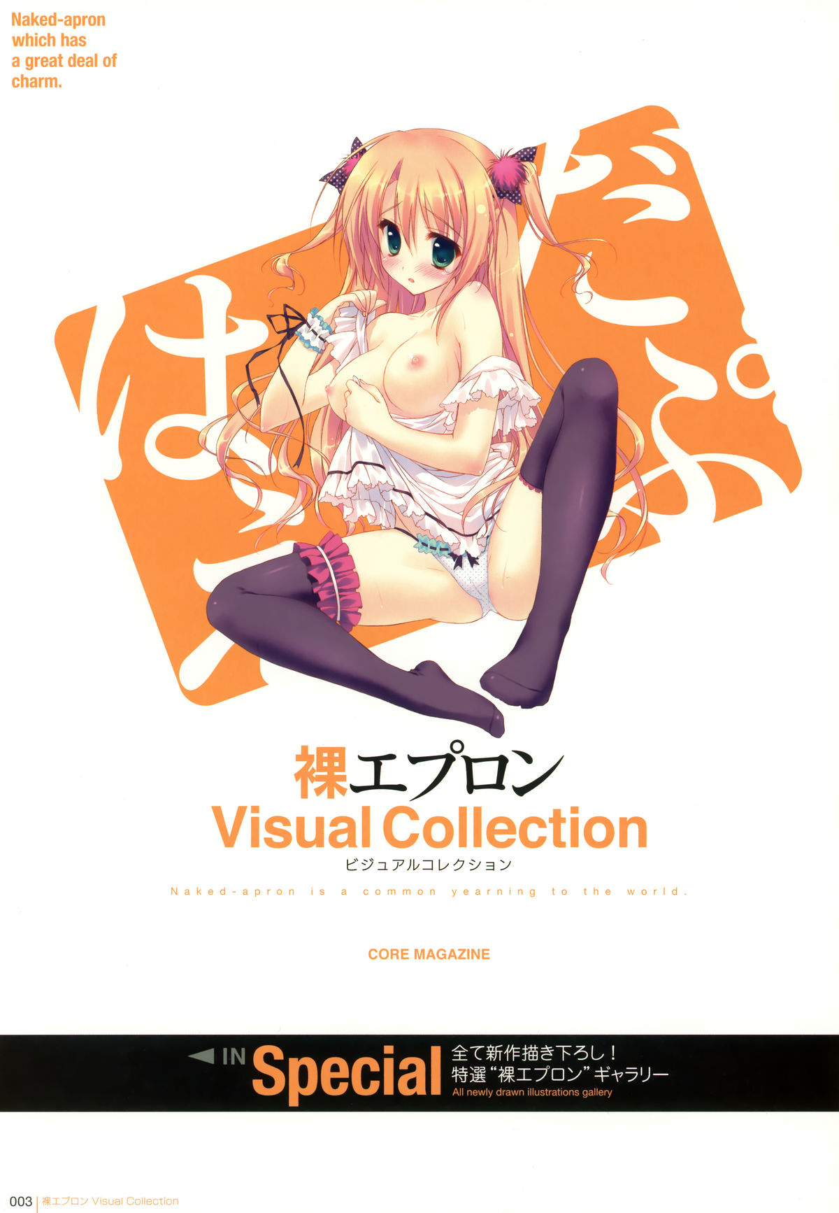 Hadaka Apron Visual Collection page 3 full