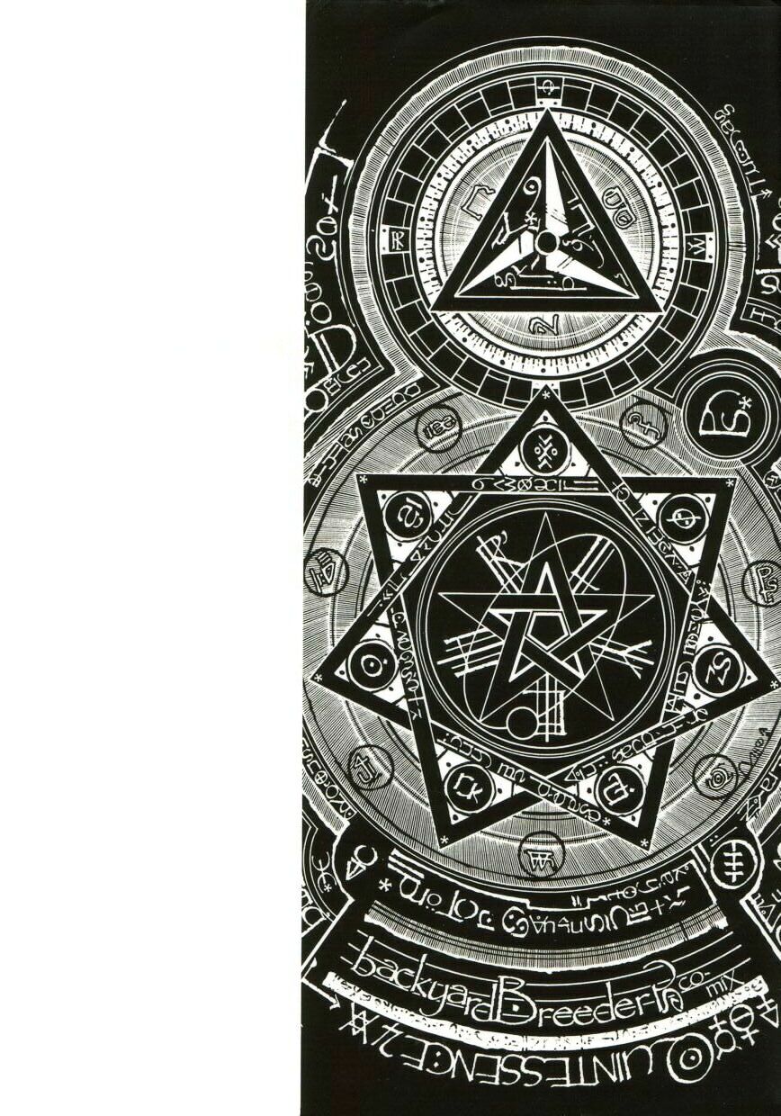 Backyard Breeder page 3 full