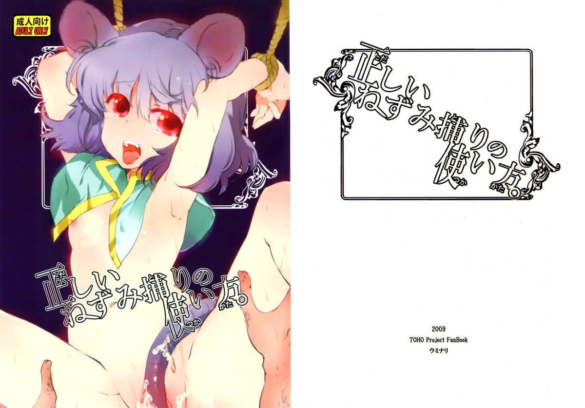 Tadashii Nezumitori no Tsukaikata. page 1 full