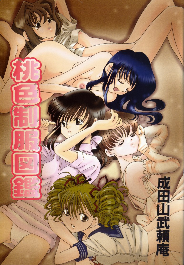 Momoiro Seifuku Zukan - Sexual Uniform Guide page 3 full