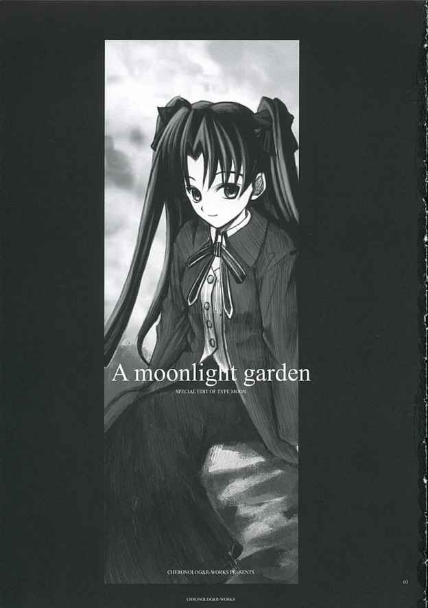 A moonlit garden page 2 full