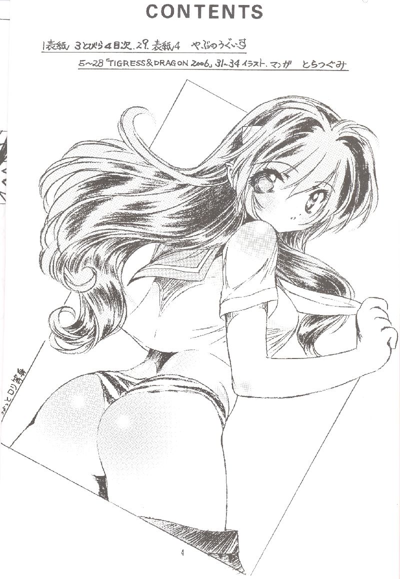 NDL 3.5 Tigress & Dragon 2006 page 3 full