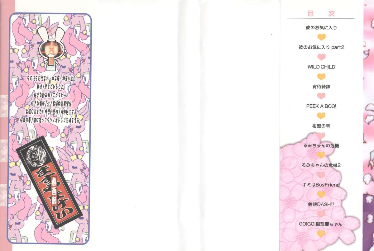 Kare no O-Ki ni Iri page 2 full