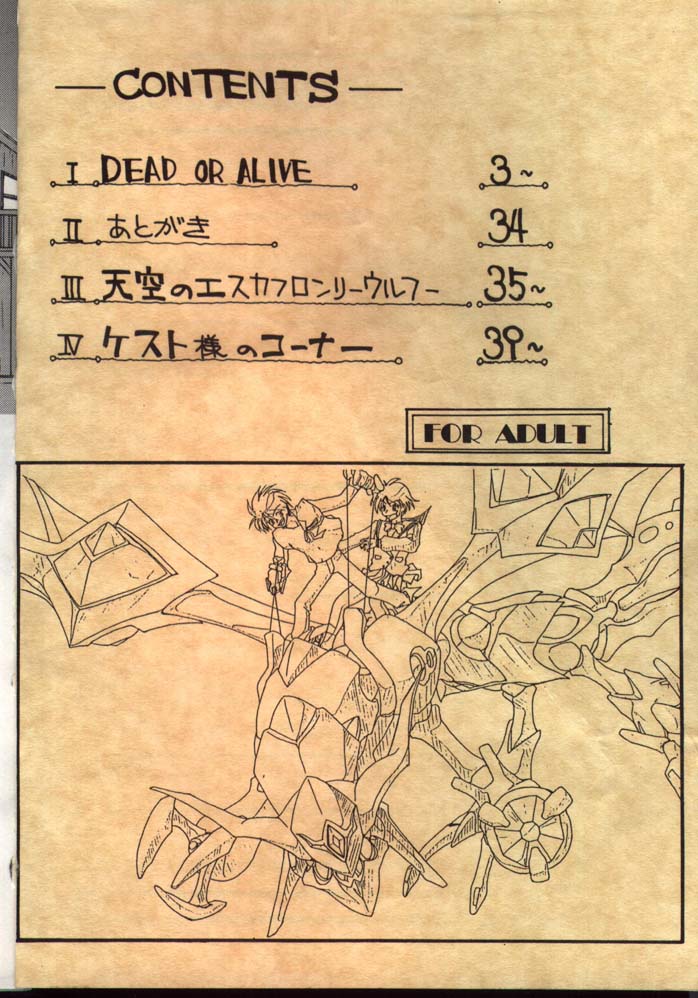 DEAD OR ALIVE -ESCAFLOWNE- page 2 full
