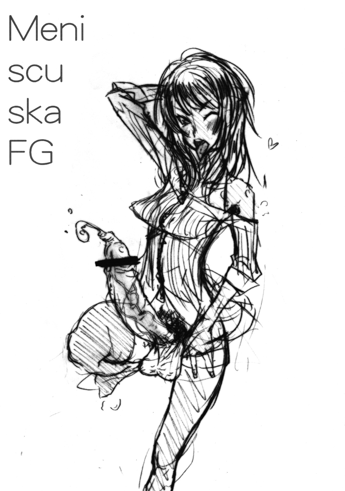 Meniscuska FG page 2 full