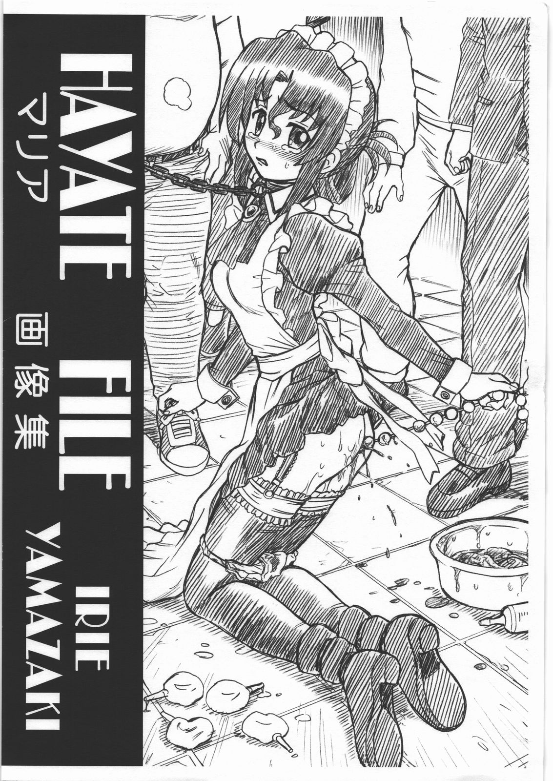 HAYATE FILE Maria Gazoushuu page 1 full