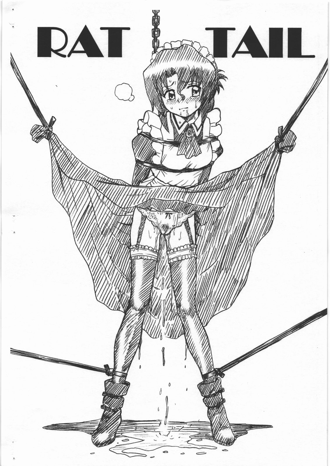 HAYATE FILE Maria Gazoushuu page 10 full