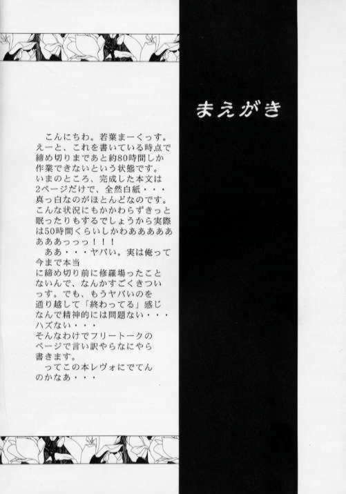 SPLENDID FLOWER GARDEN page 3 full