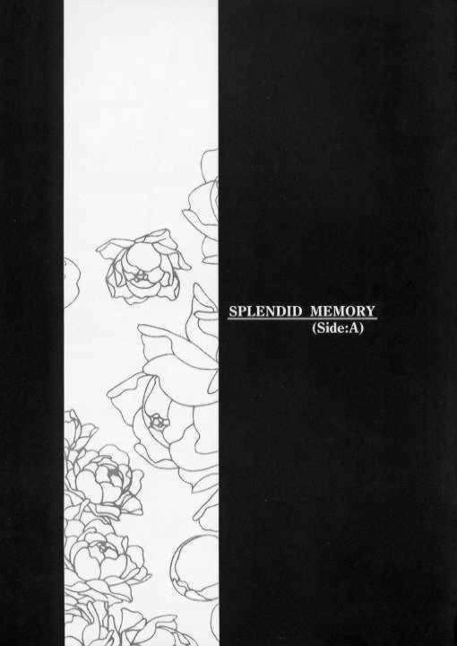 SPLENDID FLOWER GARDEN page 4 full