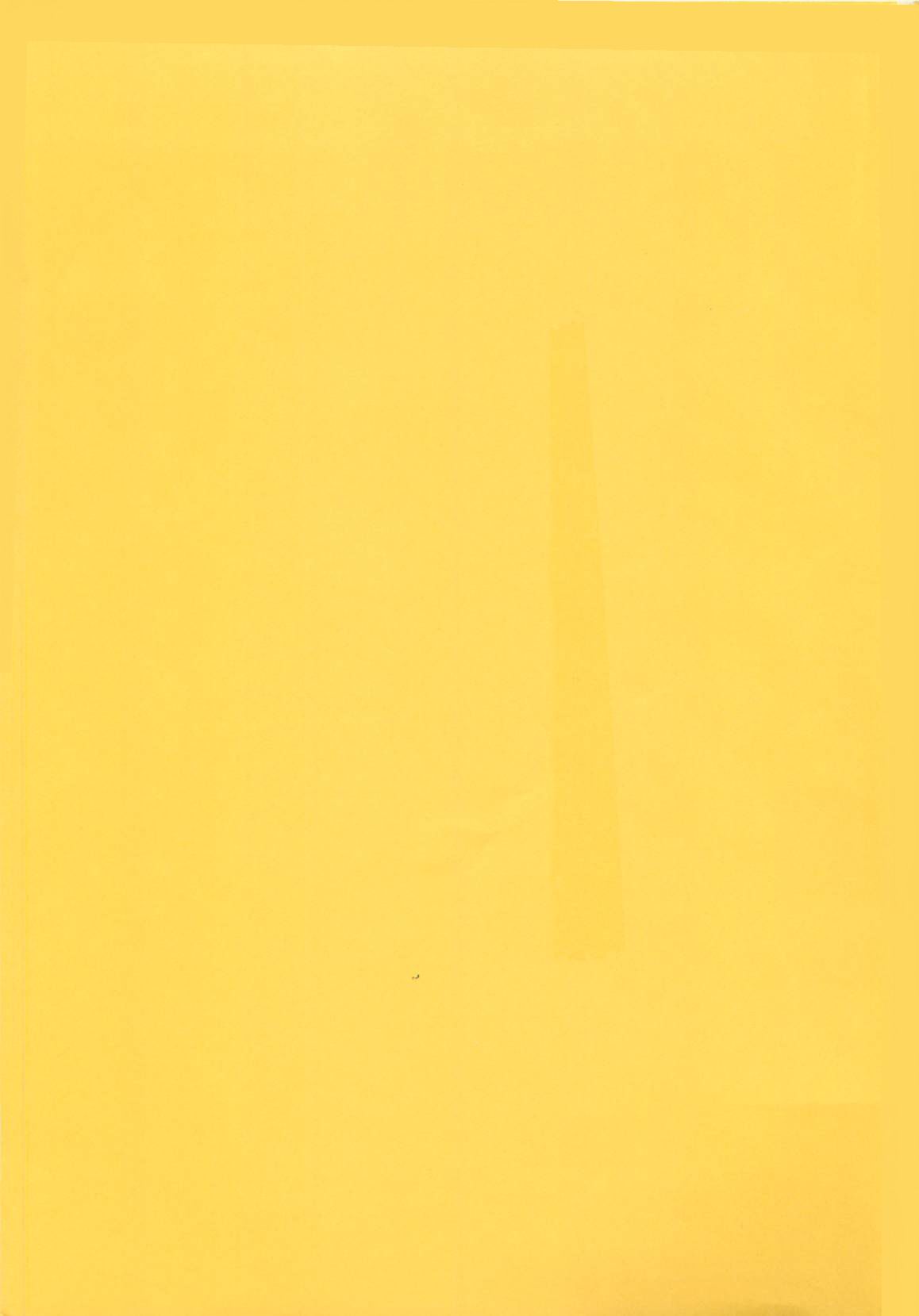 Shoujo Ijou Komusume Miman page 3 full