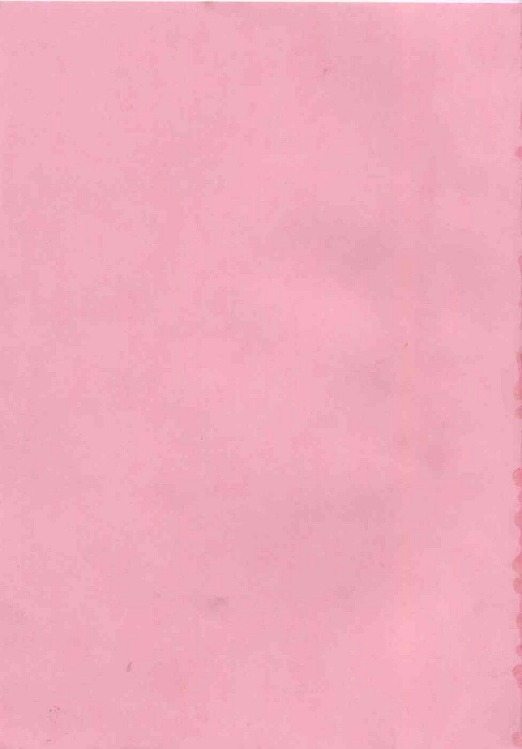 Chu Pet Strawberry Days page 3 full