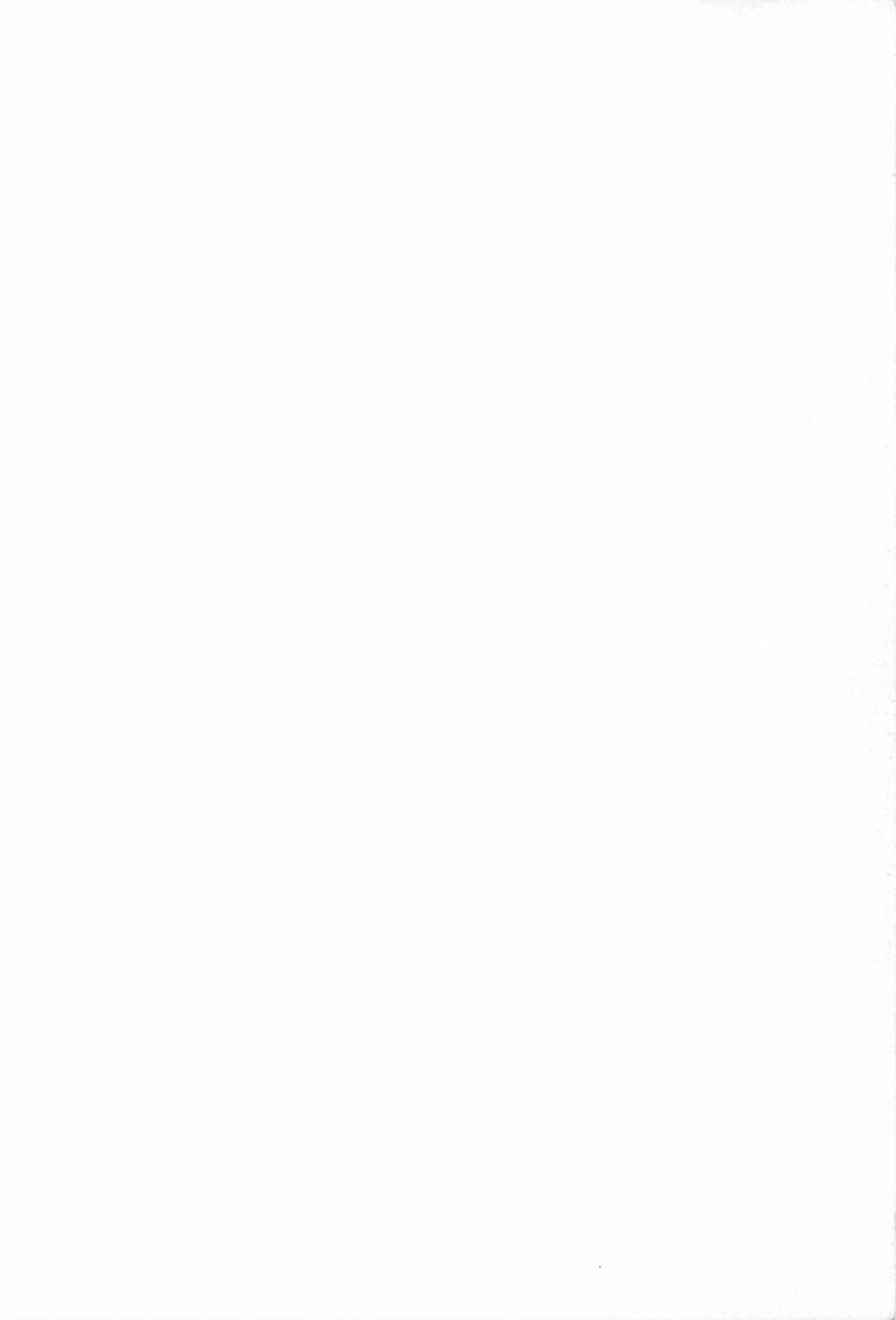 Bishoujo Shoukougun 2 page 8 full