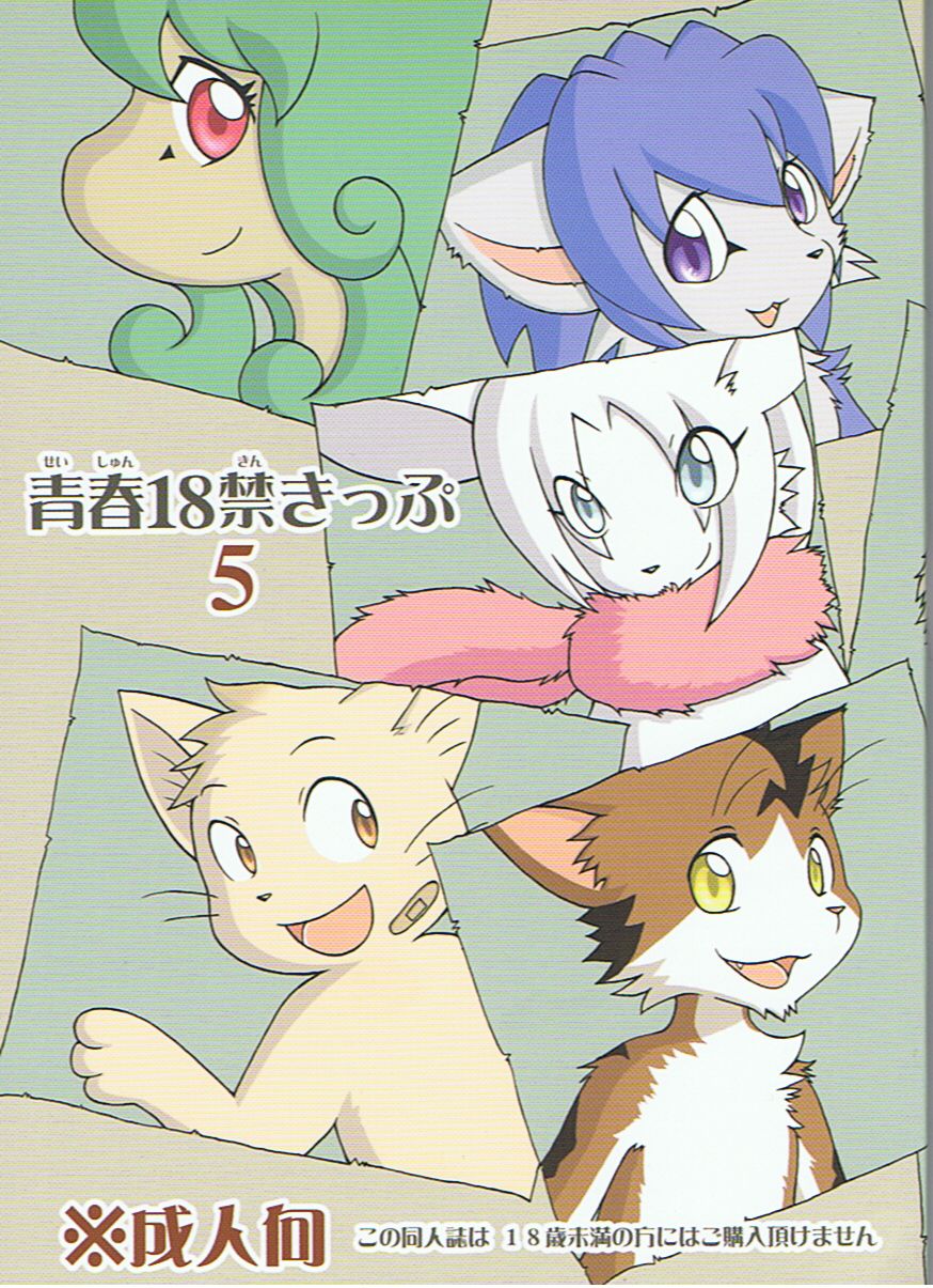 Seishun 18kin Kippu 5 page 1 full