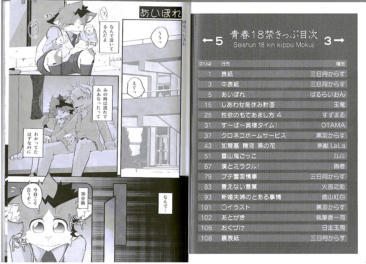 Seishun 18kin Kippu 5 page 3 full