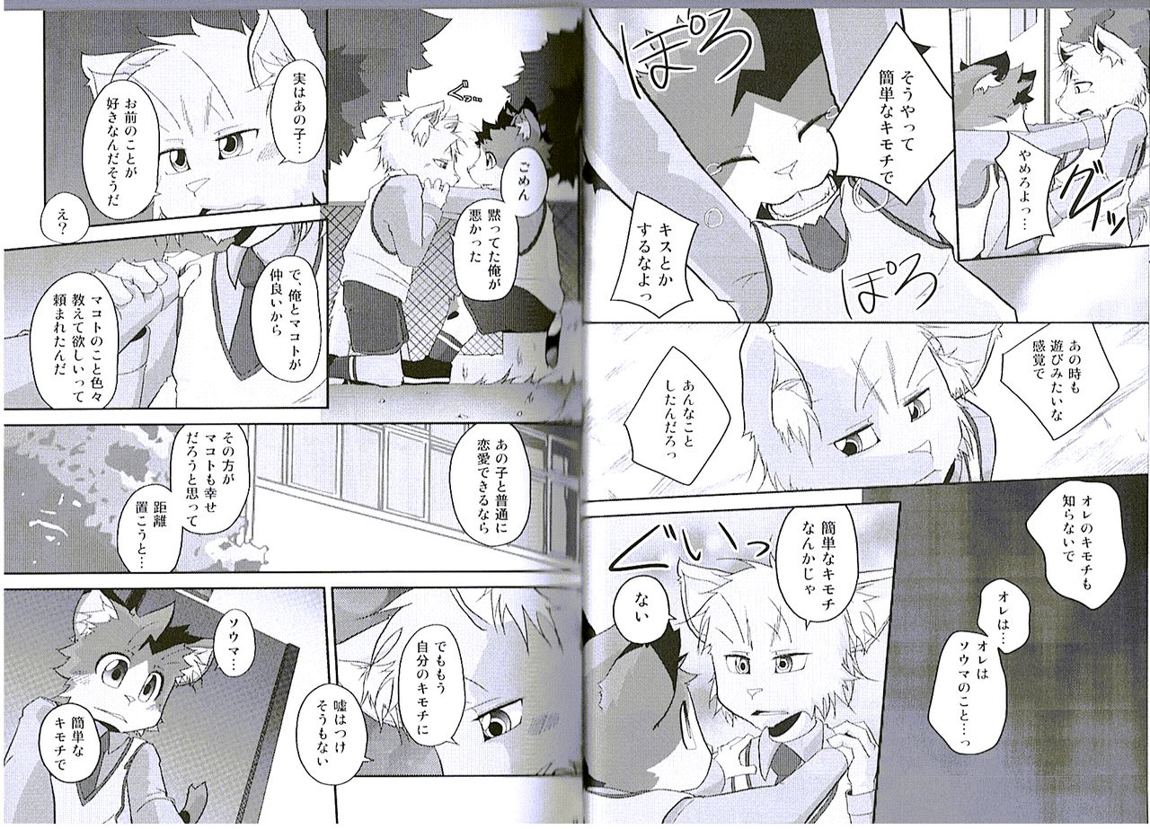 Seishun 18kin Kippu 5 page 5 full