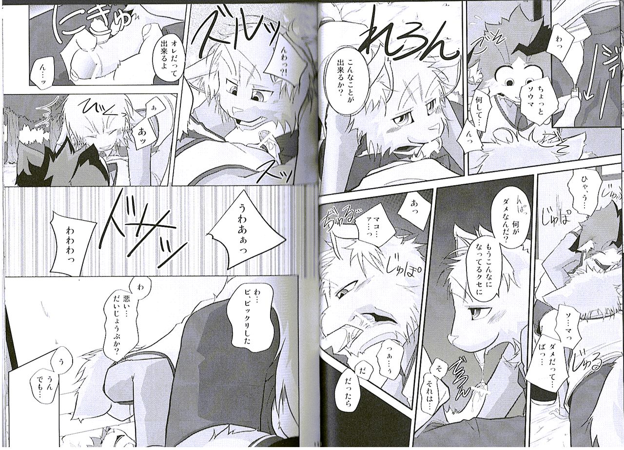 Seishun 18kin Kippu 5 page 6 full