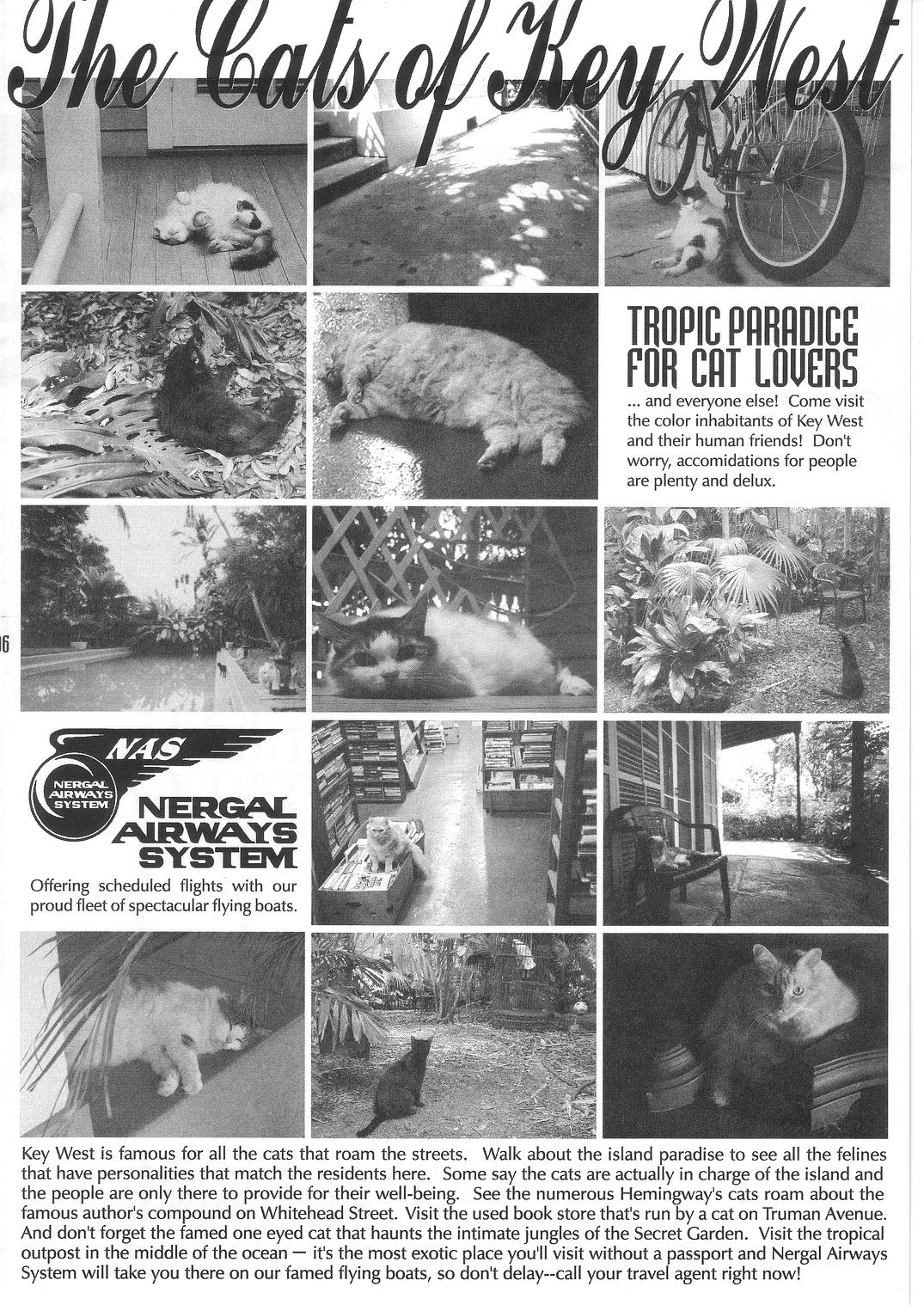 Summer Solstice page 6 full