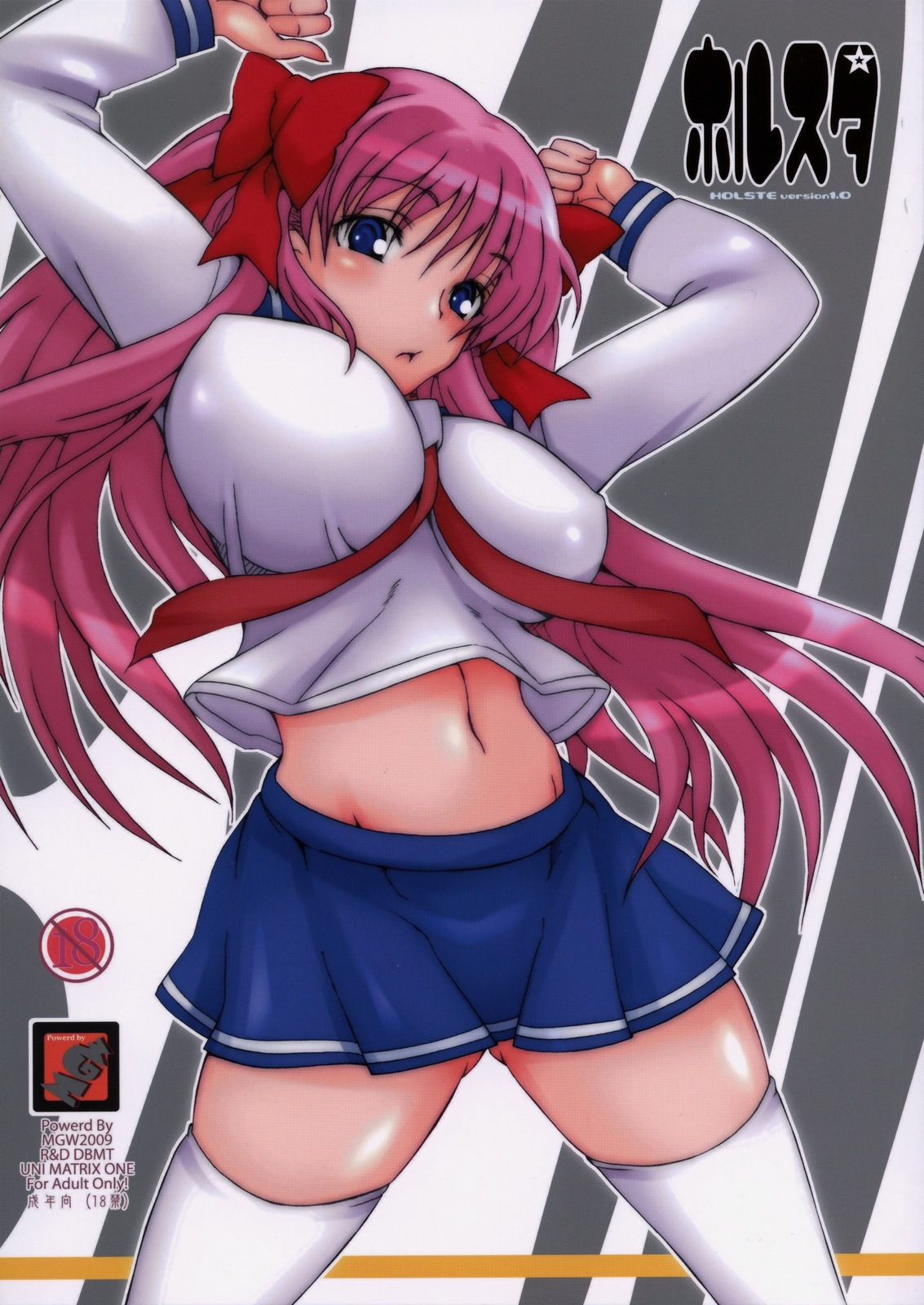 Holste version 1.0 page 1 full