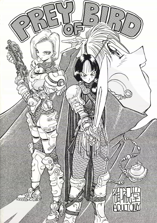 PREY OF BIRD page 1 full