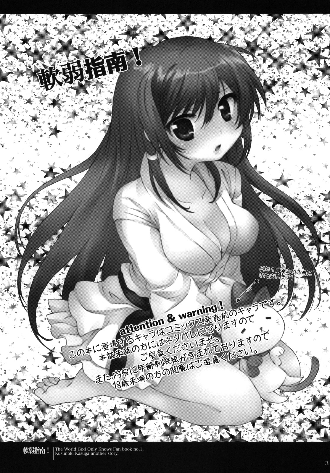 Nanjaku Shinan page 3 full