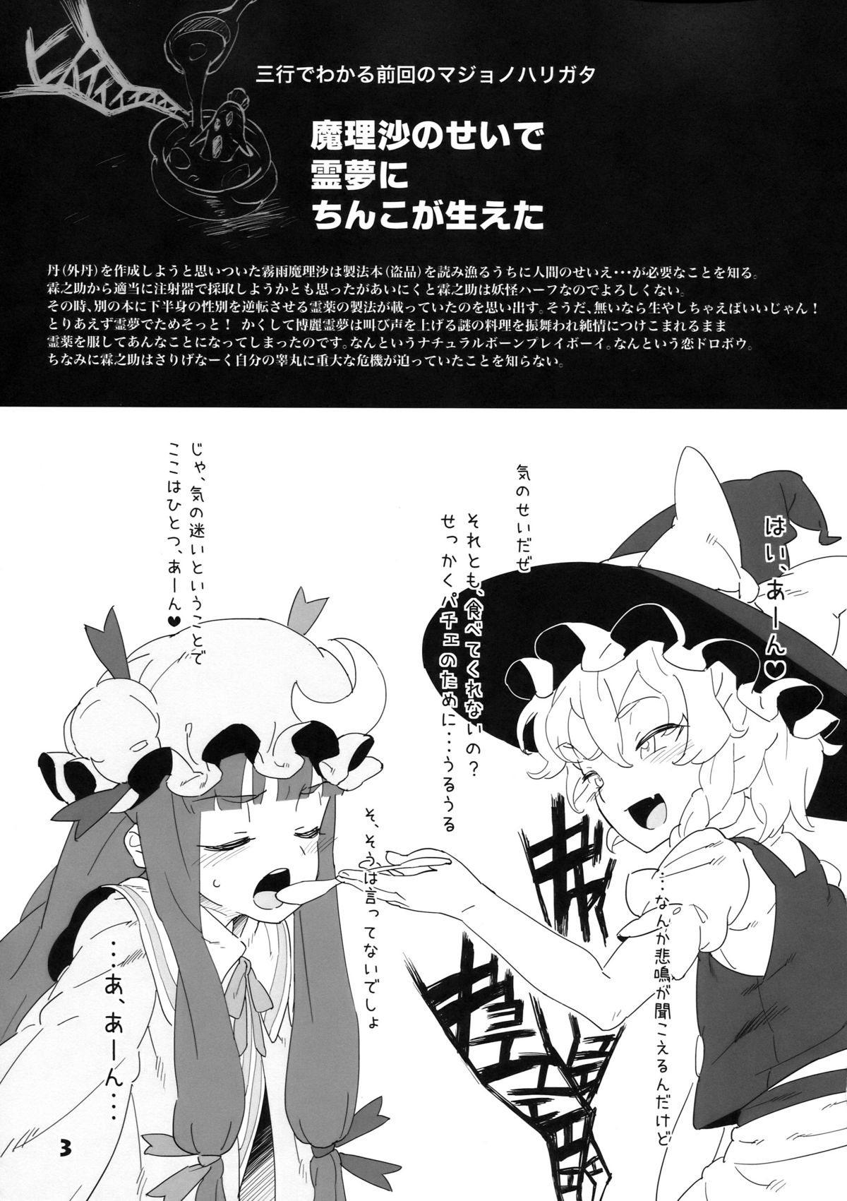 D.P.C.H.C.N.H. hon page 3 full