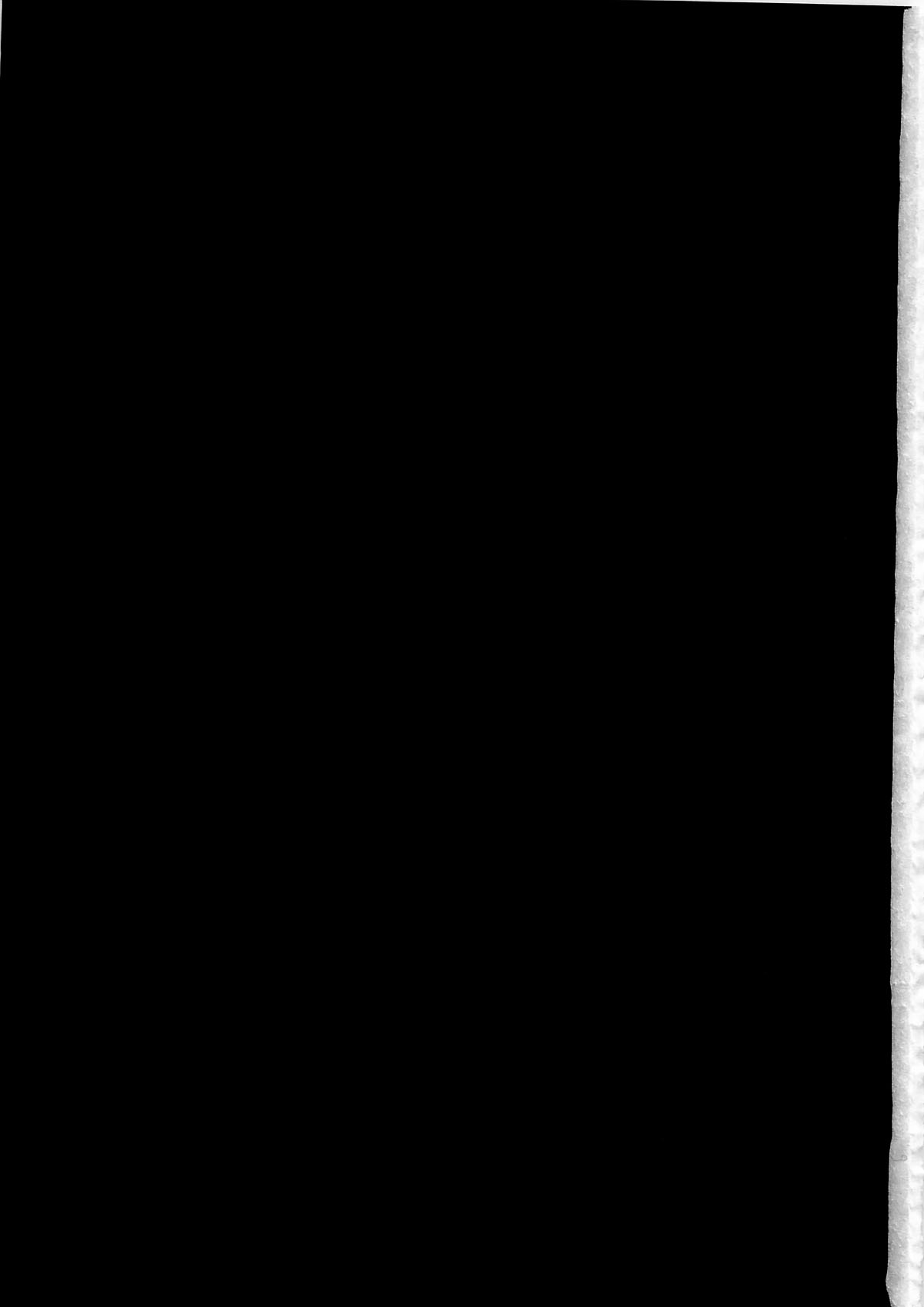 Darker Than Mikoto page 3 full