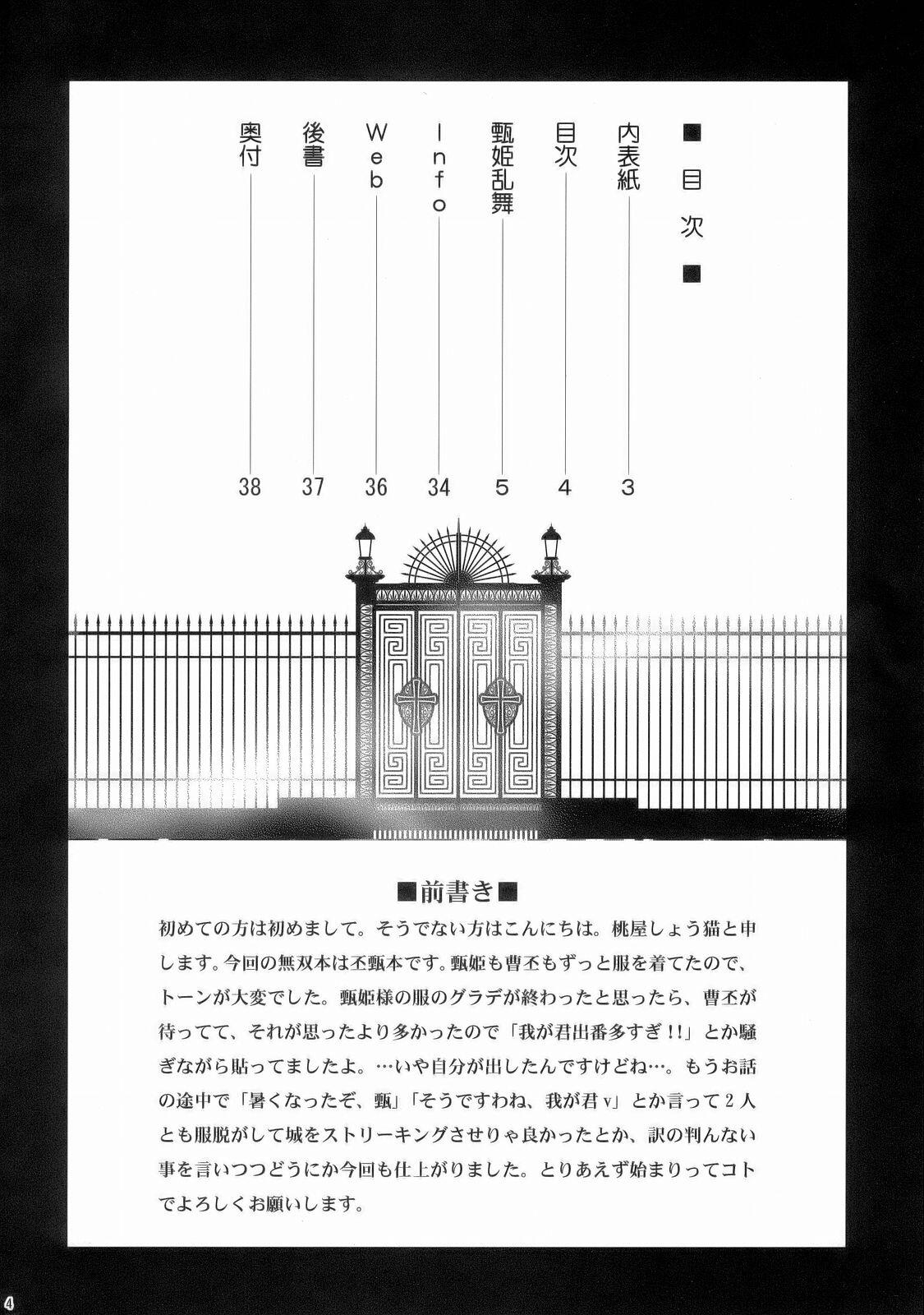 Shinki Ranbu page 3 full