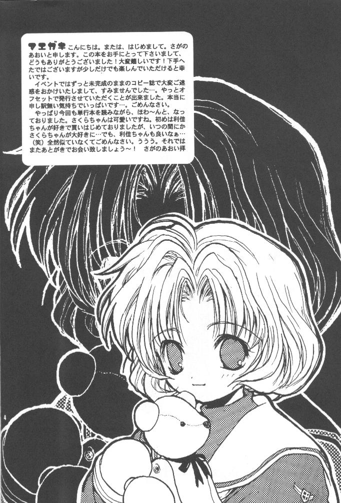 Sewwt System page 3 full