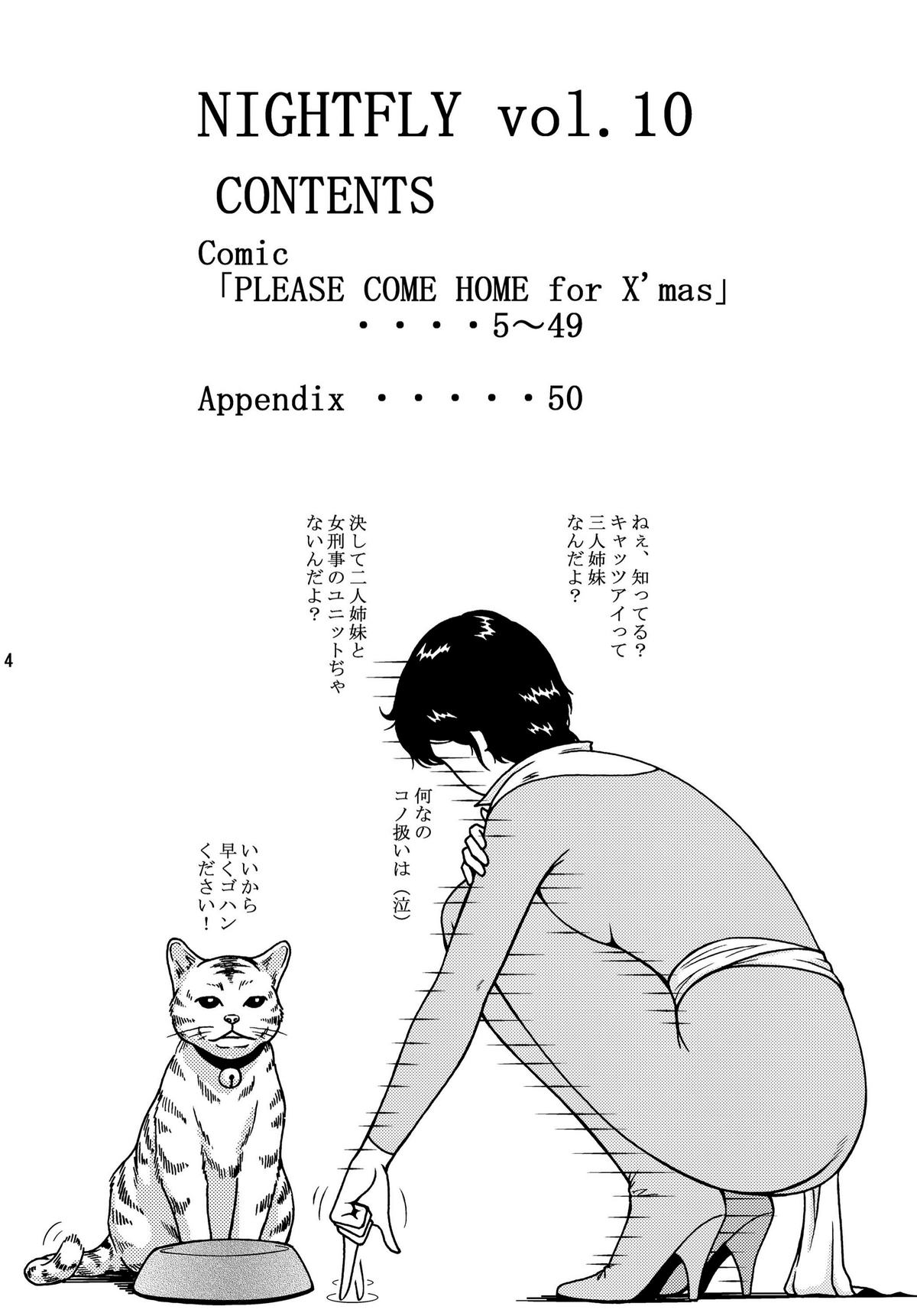 NIGHTFLY vol.10 PLEASE COME HOME for X'mas page 4 full