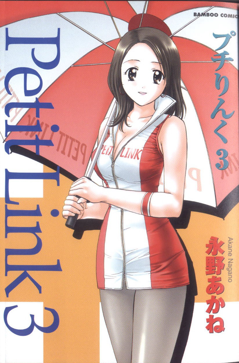 Petit Link 3 page 3 full