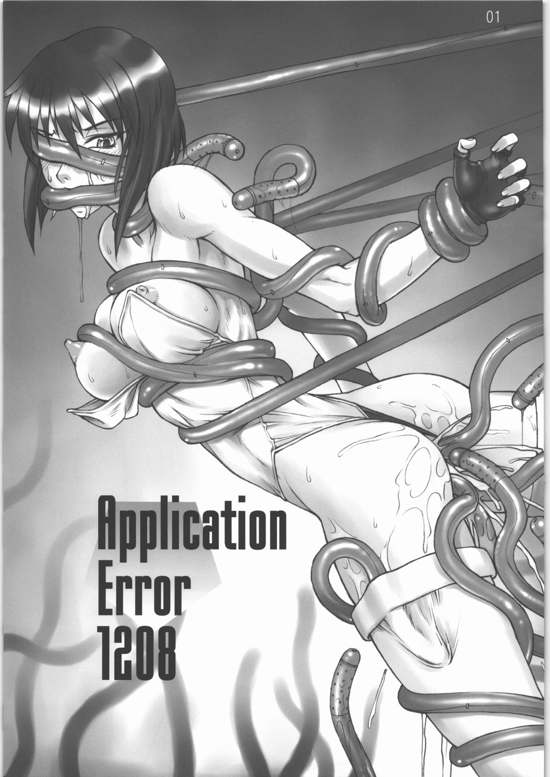 Application Error 1208 page 2 full
