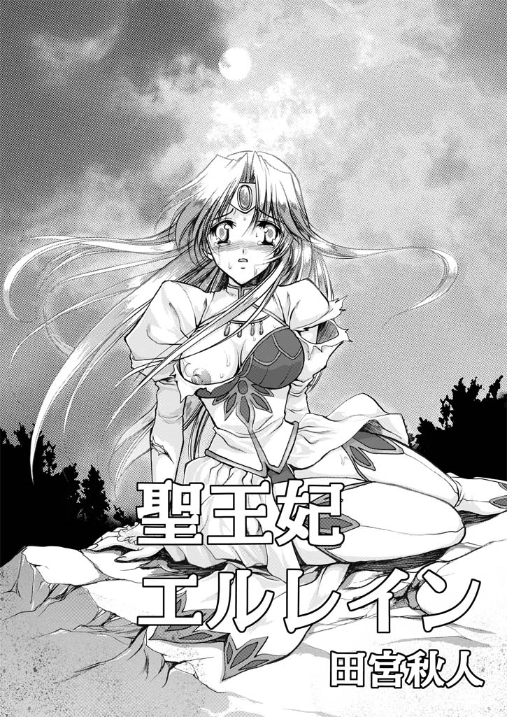 聖王妃 エルレイン（田宮秋人）   Princess St page 3 full