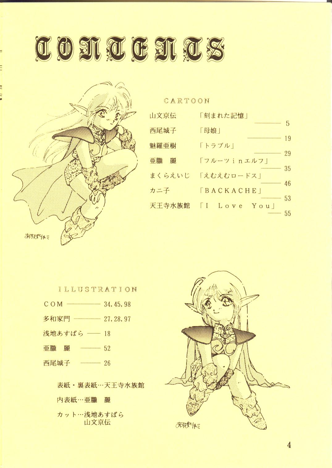 DIEDLIT 2 page 3 full