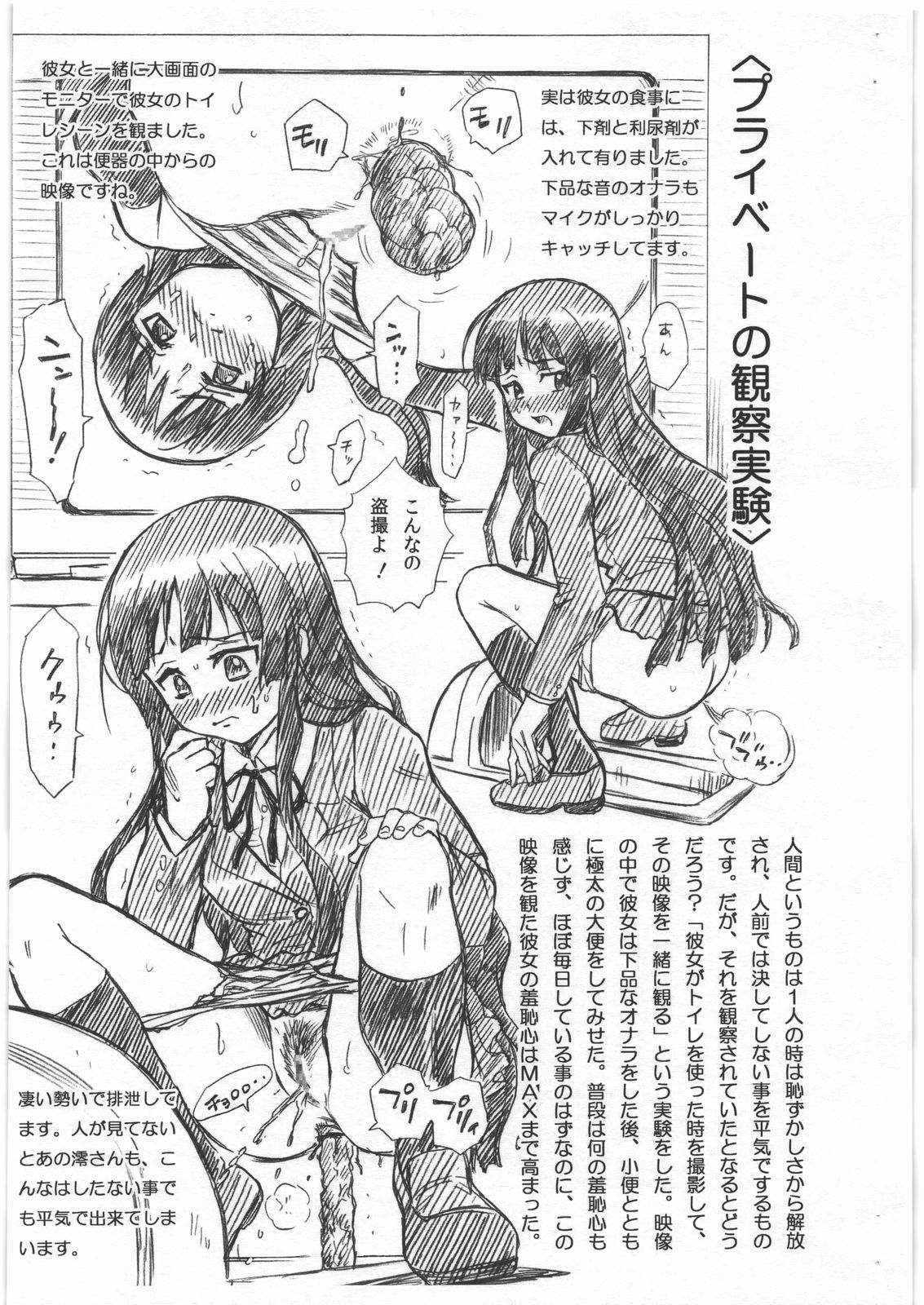 Yamazaki Kyouju no Shuuchishin Kenkyuujo Model "K-ON!" Akiyama Mio page 5 full