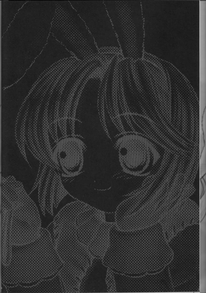 PRIMULA Rosea page 3 full