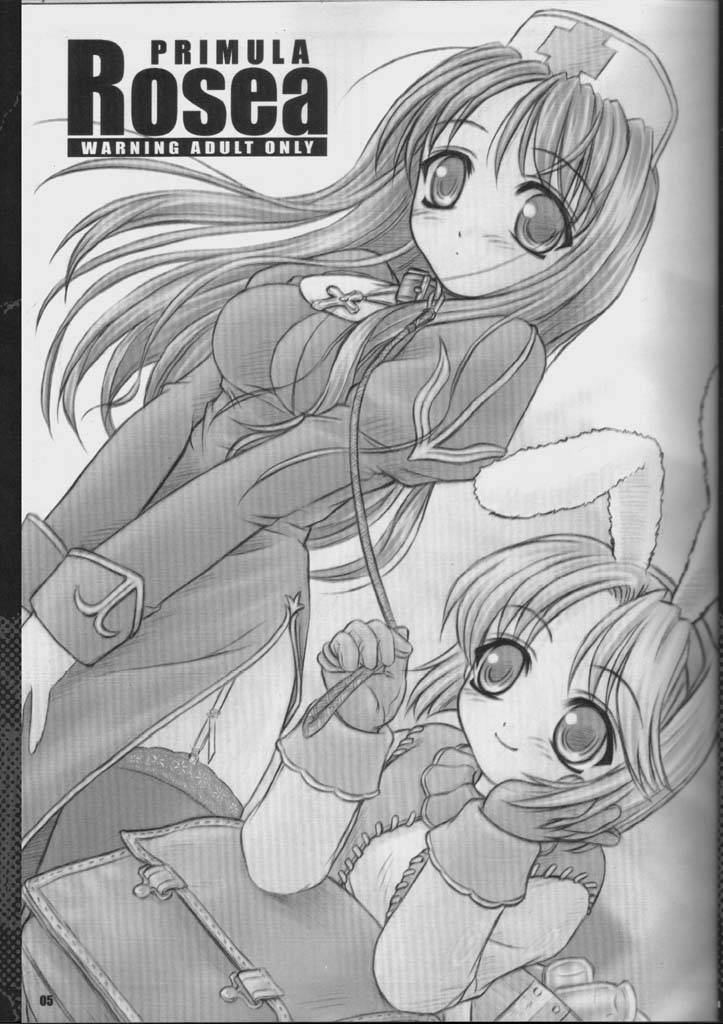 PRIMULA Rosea page 4 full