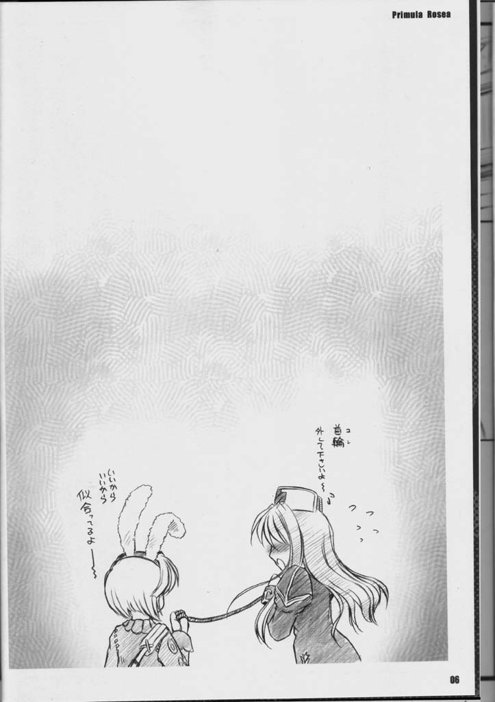 PRIMULA Rosea page 5 full