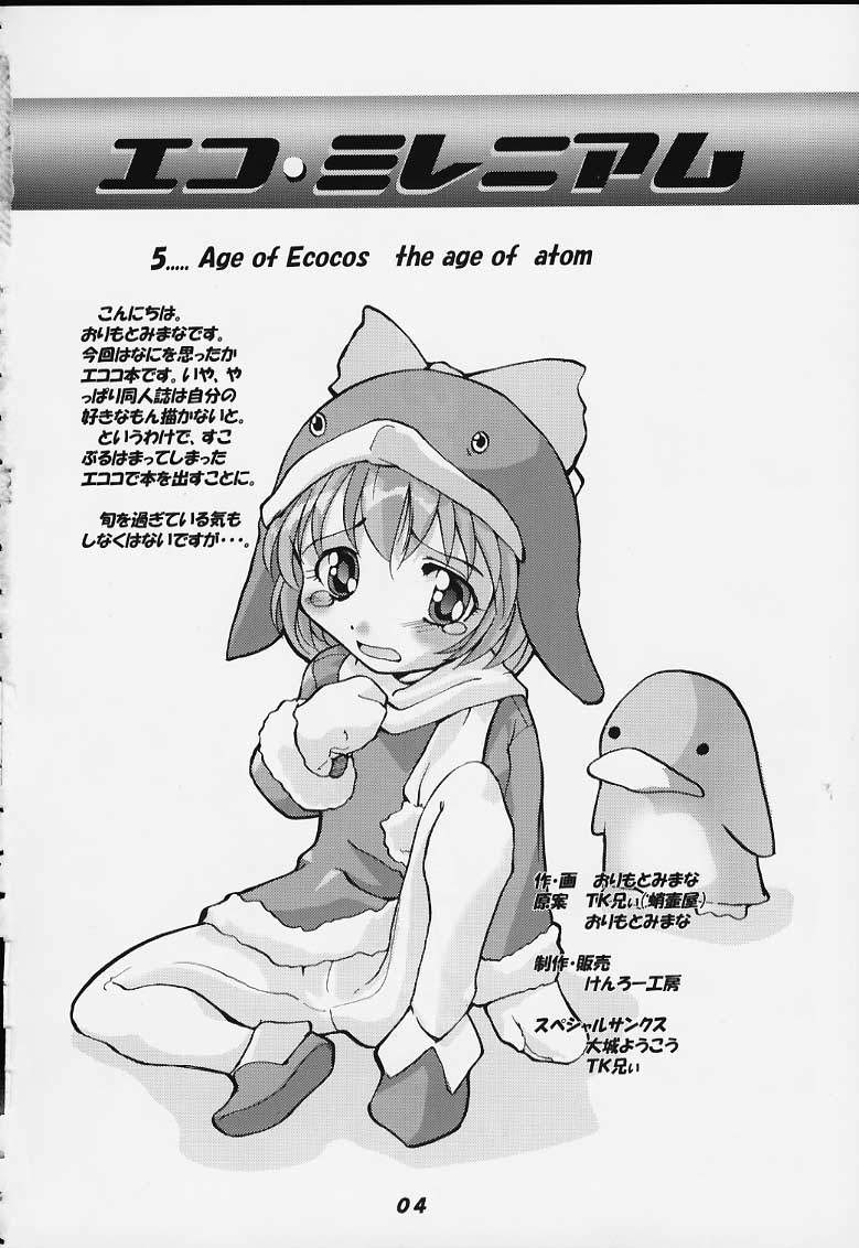 Eco Millennium page 3 full