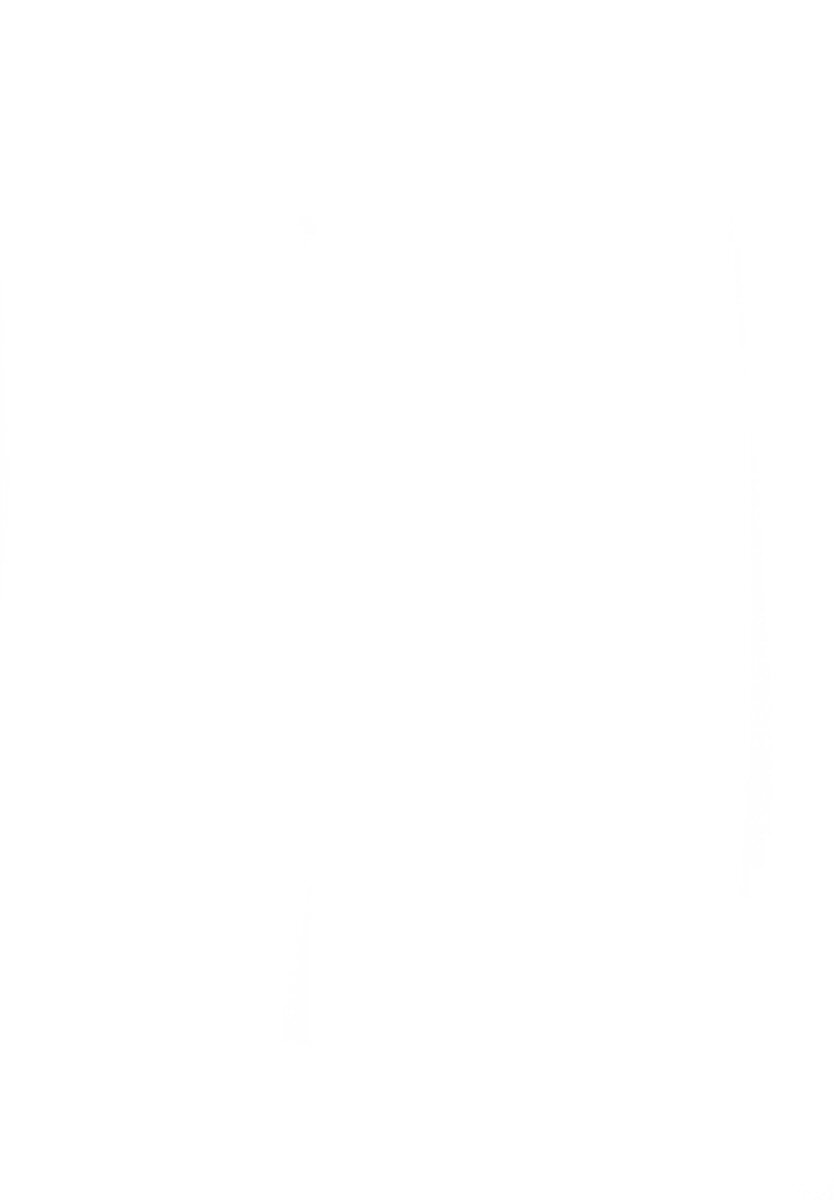 13 Carat no Koi page 5 full