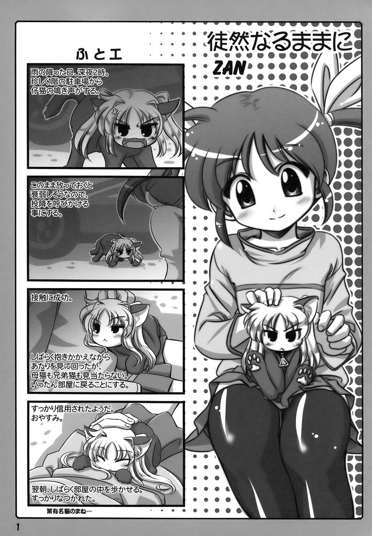 Nano Para 6 page 3 full