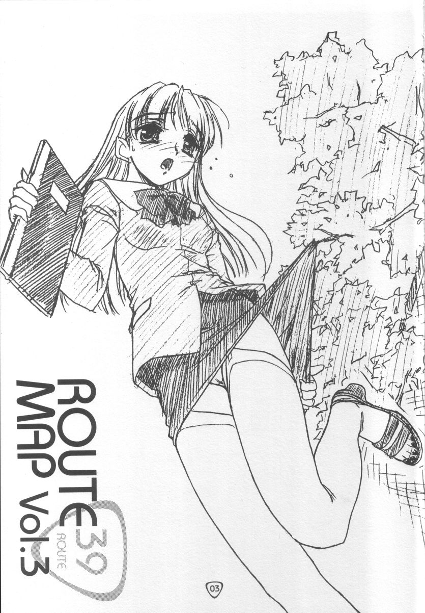 ROUTE MAP Vol.3 page 2 full